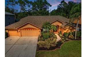 4133 AUSTON WAY, PALM HARBOR, FL 34685 - MLS#MFRTB8391799