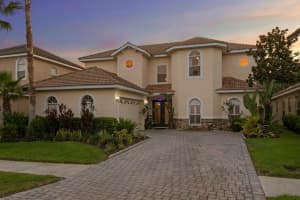 18050 Cozumel Isle Dr, TAMPA
