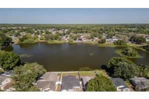 12416 QUEENSLAND LANE, TAMPA, FL 33625 - MLS#MFRTB8391870