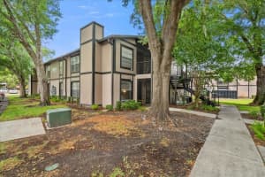 4004 DREAM OAK PLACE, TAMPA, FL 33613 - MLS#MFRTB8391882