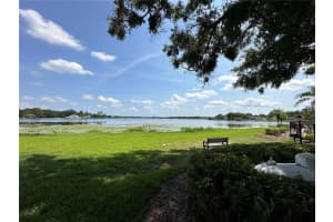 13709 JUNIPER BLOSSOM DRIVE, TAMPA, FL 33618 - MLS#MFRTB8391883