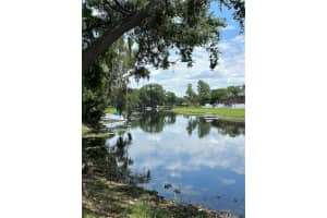 13709 JUNIPER BLOSSOM DRIVE, TAMPA, FL 33618 - MLS#MFRTB8391883