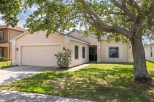 7157 Hamilton Park Blvd, TAMPA