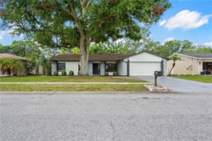 4706 Fox Hunt Dr, TAMPA