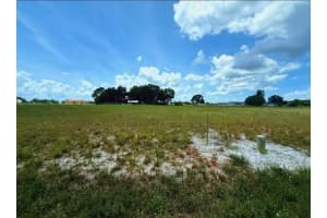 8800 CASTILE ROAD, SEBRING, FL 33876 - MLS#MFRTB8392005
