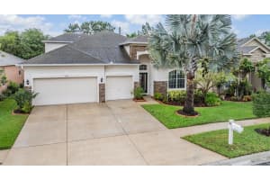 31331 ANNISTON DRIVE, WESLEY CHAPEL, FL 33543 Sold 07/25/25