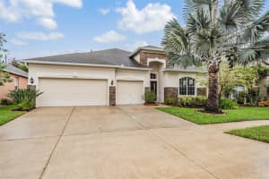 31331 ANNISTON DRIVE, WESLEY CHAPEL, FL 33543 Sold 07/25/25
