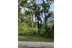625 DR M L KING JR BOULEVARD, BROOKSVILLE, FL 34601 - MLS#MFRTB8392082