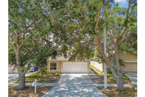 11627 IVY FLOWER LOOP, RIVERVIEW, FL 33578 Sold 07/17/25