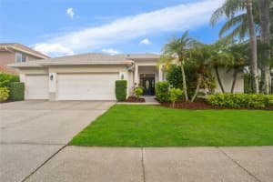 9402 Woodbay Dr, TAMPA