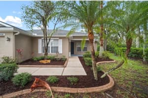 3908 DOUGLAS HILL PLACE, PARRISH, FL 34219 Sold 07/11/25