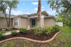 3908 DOUGLAS HILL PLACE, PARRISH, FL 34219 Sold 07/11/25