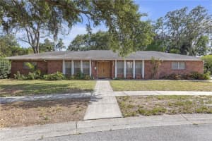 7002 Doreen St, TAMPA