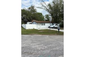 12502 Cambridge Ave, TAMPA
