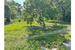 7806 ORLEANS AVENUE, TAMPA, FL 33604 - MLS#MFRTB8392257