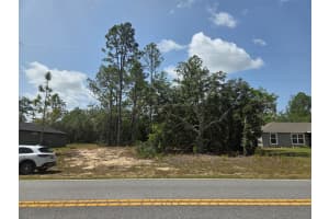 1816 HAMPSHIRE BOULEVARD, CITRUS SPRINGS, FL 34434 - MLS#MFRTB8392311