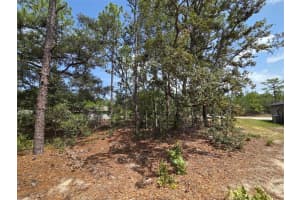 1816 HAMPSHIRE BOULEVARD, CITRUS SPRINGS, FL 34434 - MLS#MFRTB8392311