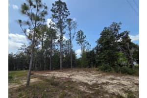 1816 HAMPSHIRE BOULEVARD, CITRUS SPRINGS, FL 34434 - MLS#MFRTB8392311