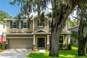 12208 Mcmullen Loop, RIVERVIEW