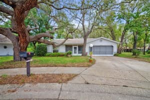 8619 Gold Pine Dr, PORT RICHEY
