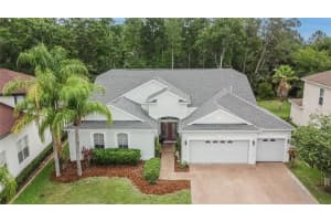 10515 Canary Isle Dr, TAMPA