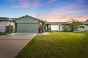 15917 Crying Wind Dr, TAMPA
