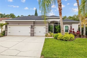 4505 ANACONDA DRIVE, NEW PORT RICHEY, FL 34655 - MLS#MFRTB8392442
