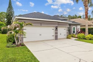 4505 ANACONDA DRIVE, NEW PORT RICHEY, FL 34655 - MLS#MFRTB8392442