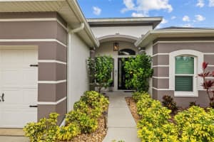 4505 ANACONDA DRIVE, NEW PORT RICHEY, FL 34655 - MLS#MFRTB8392442