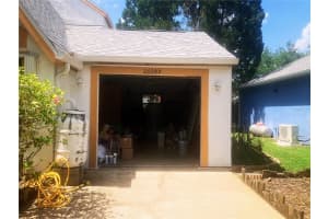 20989 NEGRIL, LUTZ, FL 33558 - MLS#MFRTB8392486