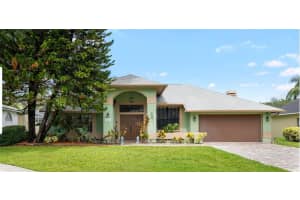 6621 Appaloosa Dr, TAMPA