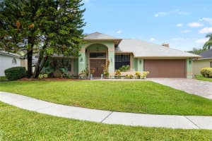 6621 APPALOOSA DRIVE, TAMPA, FL 33625 - MLS#MFRTB8392505