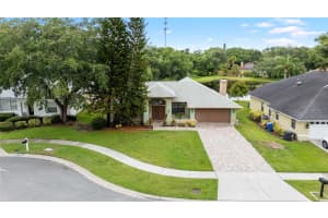 6621 APPALOOSA DRIVE, TAMPA, FL 33625 - MLS#MFRTB8392505