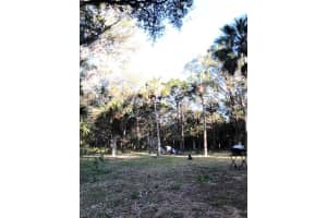 6377 LANCELEAF TERRACE, HOMOSASSA, FL 34448 Sold 07/31/25