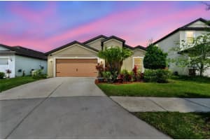 11837 Thicket Wood Dr, RIVERVIEW