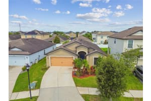 11837 THICKET WOOD DRIVE, RIVERVIEW, FL 33579 - MLS#MFRTB8392537