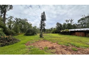 19036 BLAKE ROAD, ODESSA, FL 33556 - MLS#MFRTB8392549