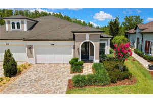 4155 Barletta Ct, WESLEY CHAPEL