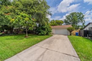 117 Connie Ave, TAMPA