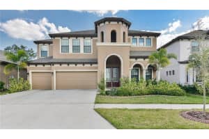 11407 DRIFTING LEAF DRIVE, RIVERVIEW, FL 33579 Sold 07/25/25