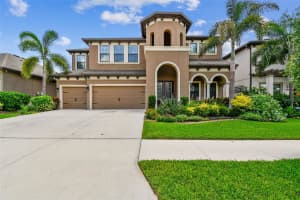 11407 DRIFTING LEAF DRIVE, RIVERVIEW, FL 33579 Sold 07/25/25