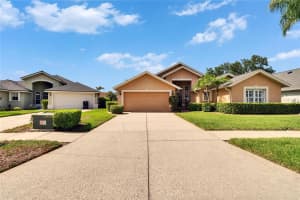 5303 COTTONWOOD TREE CIRCLE, VALRICO, FL 33596 Sold 08/15/25