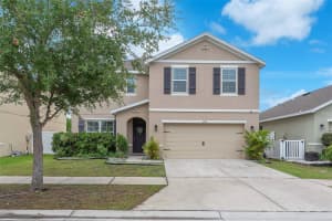 11914 Ledbury Commons Dr, Gibsonton, FL 33534, Sold 07/09/25