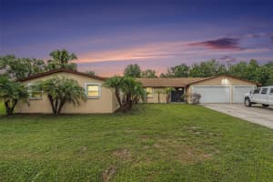 9220 MCINTOSH ROAD, DOVER, FL 33527 - MLS#MFRTB8392782