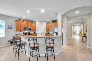 1328 RUSHGROVE CIRCLE, DOVER, FL 33527 Sold 08/20/25
