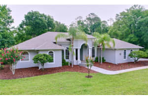 27511 HIALEAH WAY, WESLEY CHAPEL, FL 33544 - MLS#MFRTB8392921