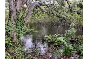 2990 LONGBROOKE WAY, CLEARWATER, FL 33760 - MLS#MFRTB8392930