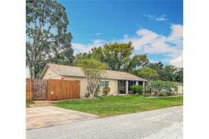 6425 ADELIA AVENUE, TAMPA, FL 33616 - MLS#MFRTB8392940
