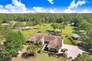 3452 FORELOCK ROAD, TARPON SPRINGS, FL 34688 - MLS#MFRTB8392947