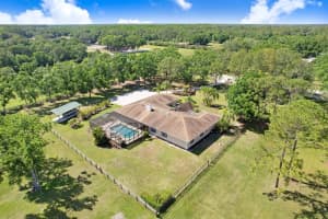 3452 FORELOCK ROAD, TARPON SPRINGS, FL 34688 - MLS#MFRTB8392947